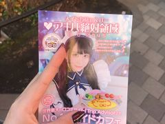 -秋叶原电器街