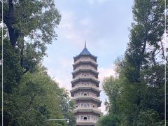 -灵谷景区