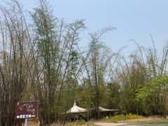 -中国科学院西双版纳热带植物园