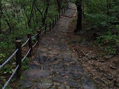 -阳台山自然风景区