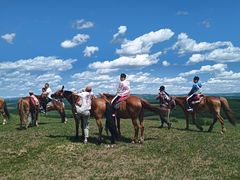 -塞罕坝国家级自然保护区