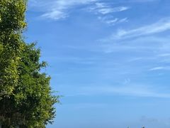 -小海豚•老字号海鲜餐厅(天涯店)