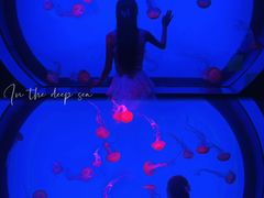 -沈阳海洋探索中心