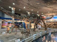 -国家自然博物馆