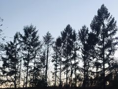 -萨尔浒风景区