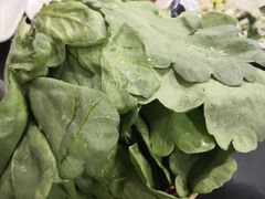 -裕德孚·非遗手切涮羊肉(东直门内大街店)