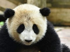 -阿水大杯茶(泉城路店)