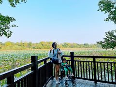 -东湖落雁景区