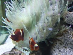 -太平洋海底世界