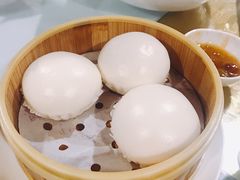 熊猫仔金沙包-广味轩(奥园店)