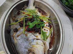 -澳门外港客运码头(轮渡站)