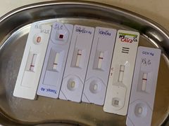 -芭比堂动物医院·24小时·眼科中心(深圳中心)
