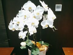 -明湖楼·经典鲁菜山东海鲜(大明湖店)
