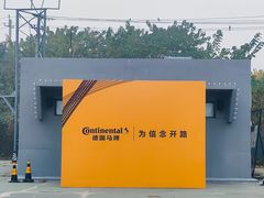 -枫花园汽车电影院(朝阳公园店)