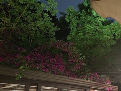 -大妙火锅·非物质文化遗产(东湖公园店)