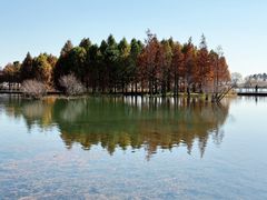 -贡湖湾湿地公园