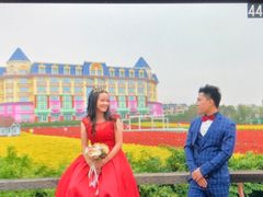 -百万葵园