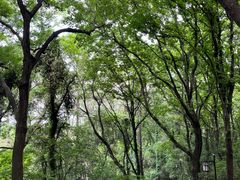 -苏州上方山国家森林公园