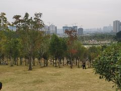 -牛岗山公园