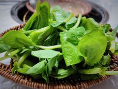 豌豆尖-阿婆情腊排骨火锅·野生菌季(古城旗舰店)
