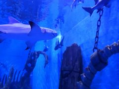 -波塞冬旅游度假区