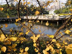 -上海市龙华烈士陵园