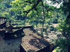 -杨家堂村