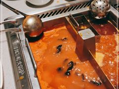 -海底捞火锅(吴中路店)