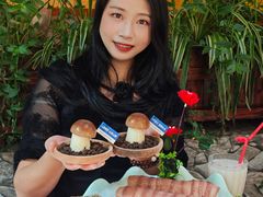-大理董·董家小厨野生菌火锅(古城旗舰店)