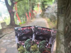 -东南悬空寺方广岩