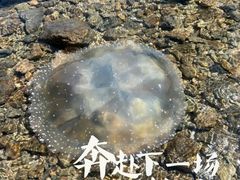 -三亚西岛海洋文化旅游区