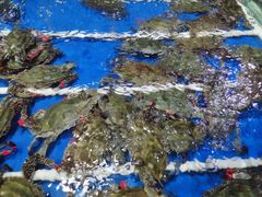 -韩家墅海吉星农产品批发市场