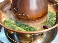-津门老羊家·铜锅涮羊肉·烧烤(科技园店)