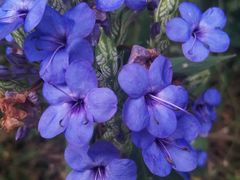 -华南国家植物园-售票处