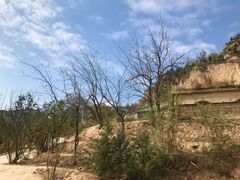 -梁家河村红色旅游区