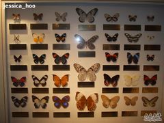 -上海昆虫博物馆