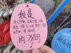 -北京欢乐谷