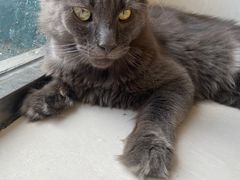 -平行世界·猫咖(首经贸店)