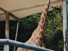 -泉州海丝野生动物世界