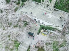 -苏州上方山国家森林公园