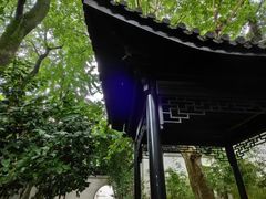 -乌镇景区