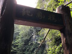 -牛背梁国家森林公园