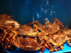 -蟹田居·活蟹料理(东城店)