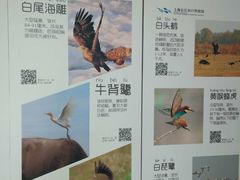 -上海长江河口科技馆