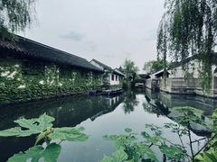 -鲁镇
