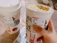 -茶颜悦色(花园道店)