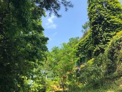 -三鹰之森吉卜力美术馆