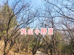 -北京西山国家森林公园