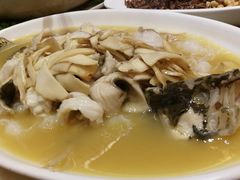 -蔼若春.传承三十年云南菜(金碧公园店)