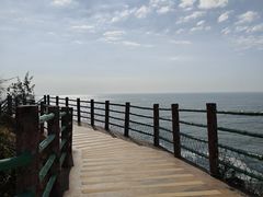 -广东惠东海龟国家级自然保护区